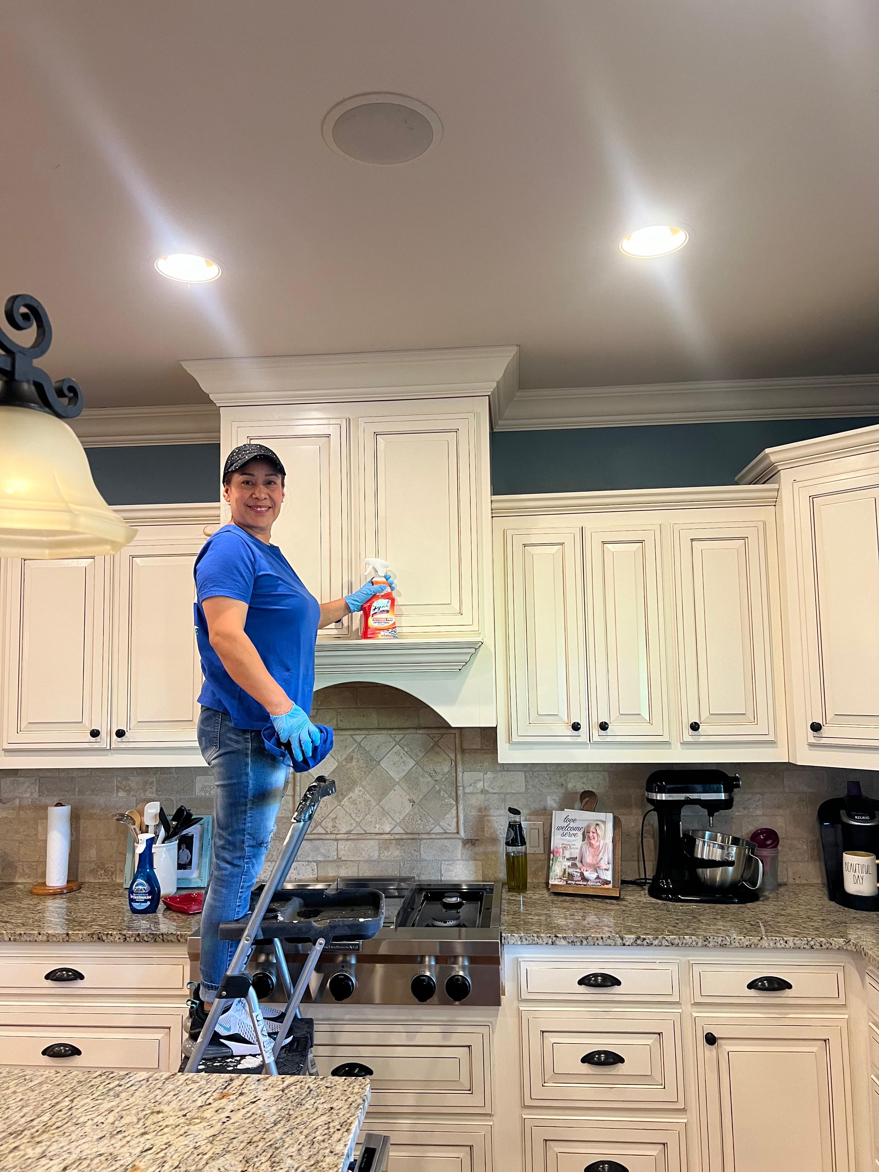 Cleaning Project Image 117