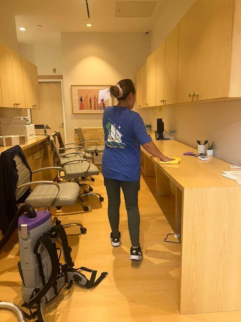 Cleaning Project Image 72